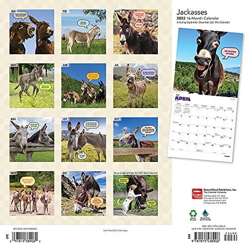 Jackasses 2022 12 x 12 Inch Monthly Square Wall Calendar, Donkey Humor