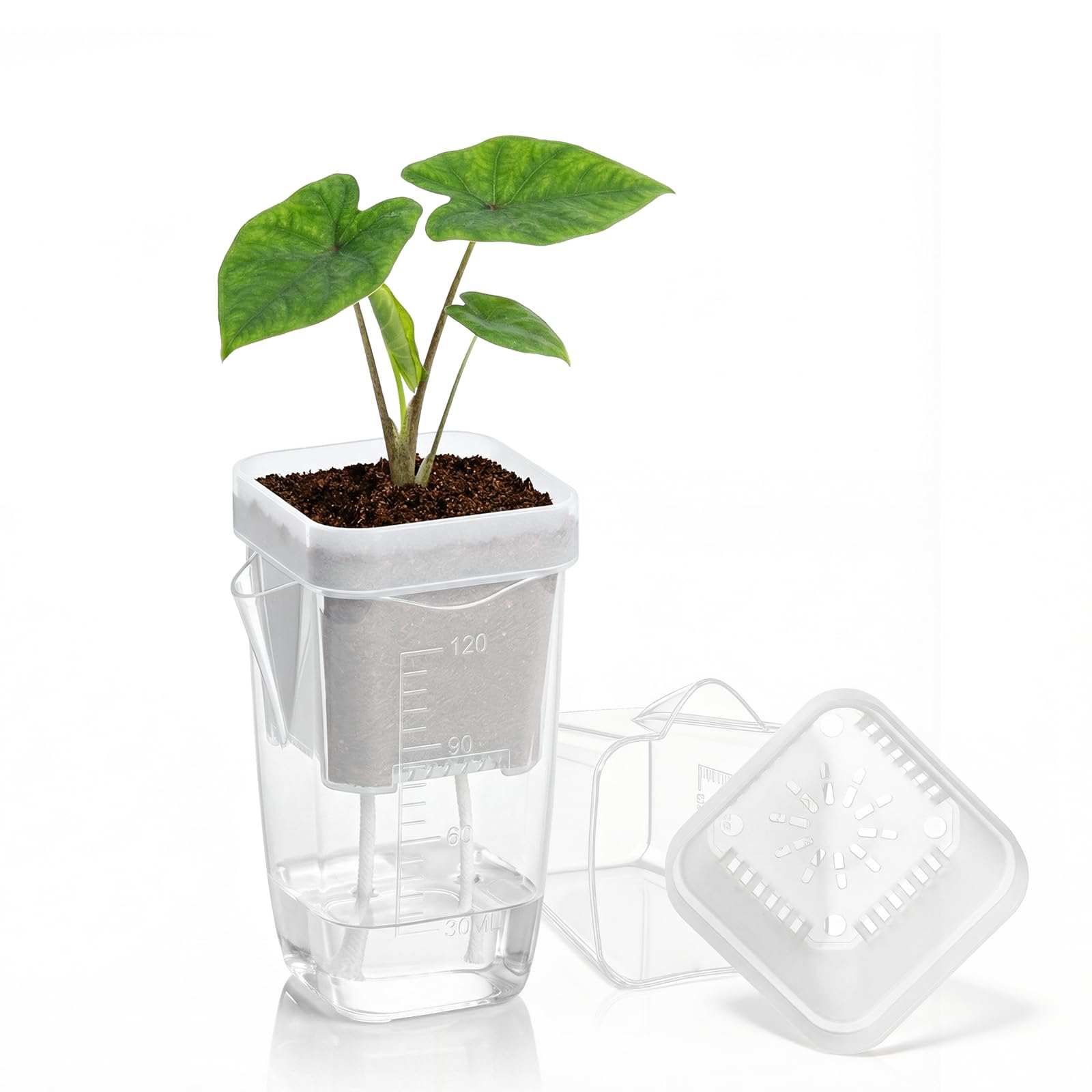 Photo 1 of QCQHDU 2 Inch Mini Self Watering Pots for Indoor Plants, 15 Pack Semi Hydroponic Pots, Small Clear Plastic Planters, Drainage Hole, Water Level Indicator, African Violets, Alocasia, Cutting, Seeding