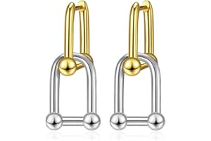 YANCHUN Silver and Gold Earrings Two Tone Earrings for Women Paperclip Link Chain Earrings Mixed Metal Earrings for Women