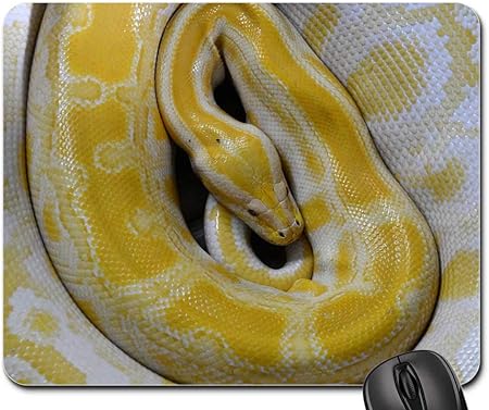 Amazon Co Jp マウスパッド 蛇 黄色 爬虫類 無害 ボアコンストリクター パソコン 周辺機器