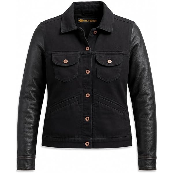 Amazon.com: Harley-Davidson® Men's Watt Leather Jacket - 98002