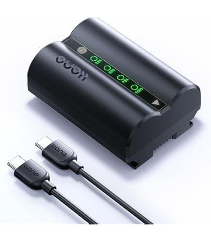 Amazon.com : Fujifilm NP-W235 Rechargeable Li-Ion Battery