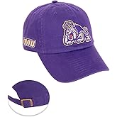 Desert Cactus James Madison University Baseball Hat Dukes JMU Brimmed Embroidered Hats Cap Adjustable Cloth Strap Adult (Style D) Purple