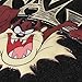 BDK Warner Brothers Taz Floor Mats for CAR SUV Truck - Universal Fit, Looney Tunes Cartoon Design Tasmanian Devil