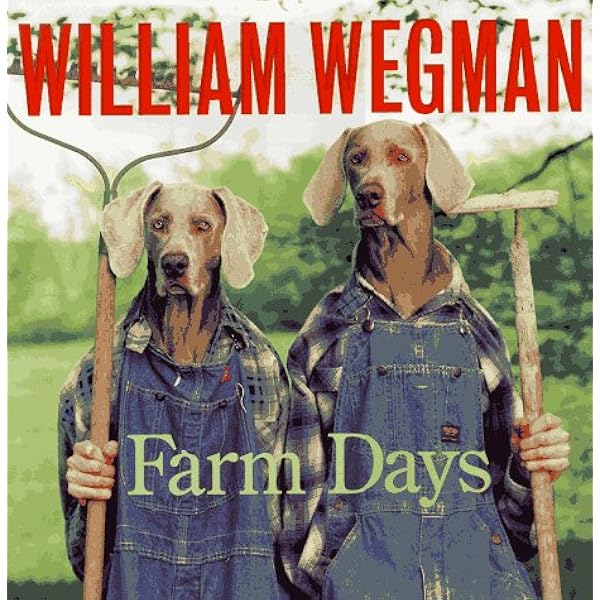 Amazon.com: Man's Best Friend: 9780810981744: Wegman, William: Books