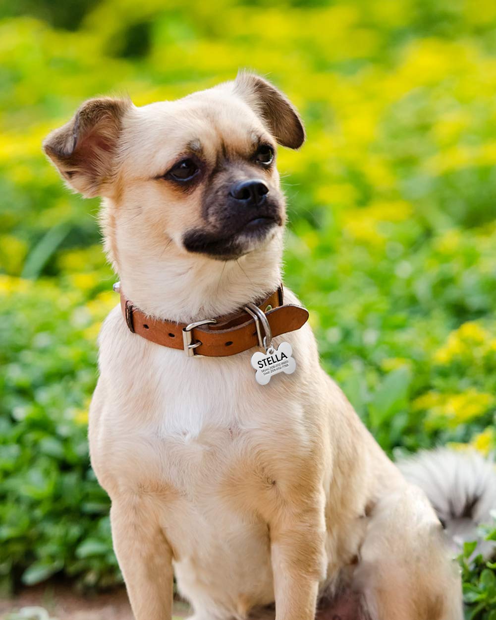 Etichette Per Animali In Acciaio Inossidabile - Personalizzabili, Fino A 8 Righe, Incisione Laser - Foto 7