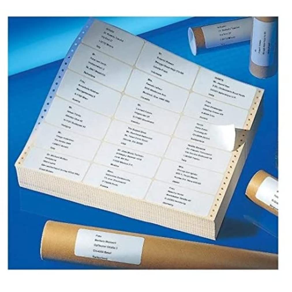 Avery 1FT3913-500 Computer Labels 107 x 48.8 mm Box of 3,000