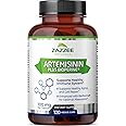Zazzee High Absorption Artemisinin, 100 mg per Capsule, 120 Vegan Capsules, with 5 mg BioPerine for Maximum Absorption, Sweet Wormwood Extract, 4 Month Supply, All-Natural and Non-GMO