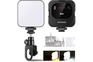 NEEWER Selfie Light, Portable Clip on LED Video Light with Cold Shoe, Phone Laptop Webcam Lighting for Streaming, Video Conferencing, Zoom Meeting, TikTok Vlogging, Makeup, Photography, PL81