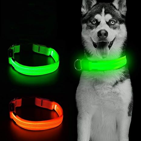 Clan_X Light Up LED Dog Collar 