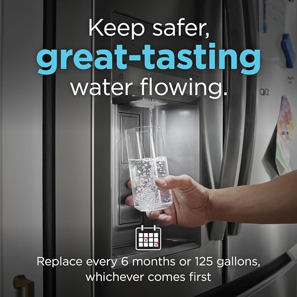 FRIGIDAIRE FPPWFU01 PUREPOUR PWF-1 WATER FILTER