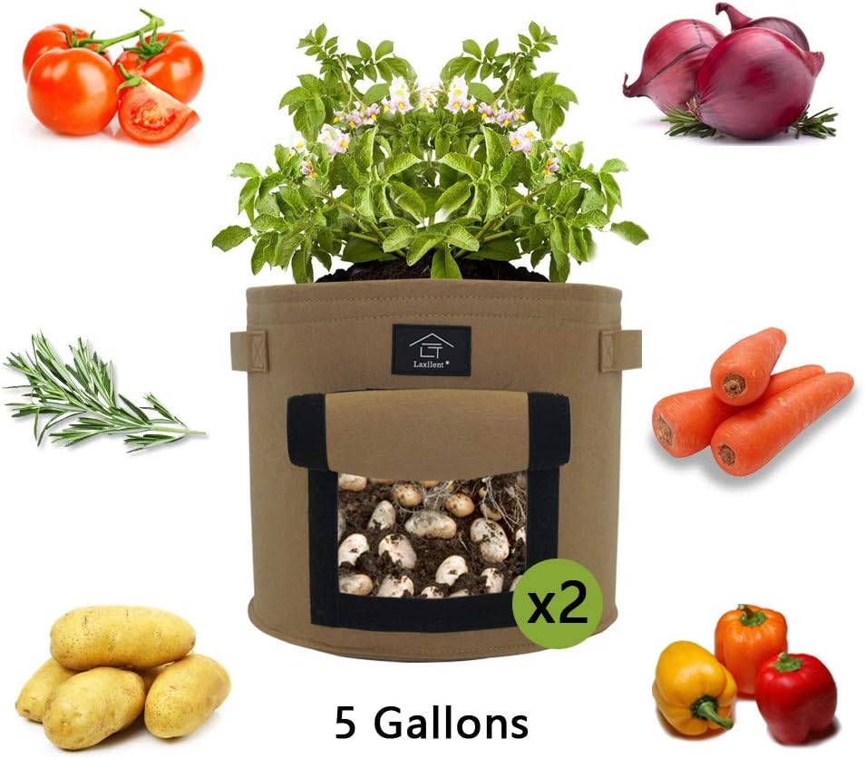 Laxllent Vegetable Growing Bag, 22L/5 Gallon Softsided Plant PotsGrow Bag with Window for