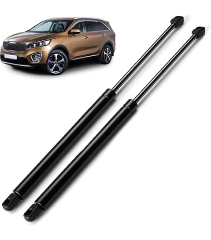 2x Hatchback Trunk Lift Supports Struts For KIA Rondo Base 2007-2010 6134