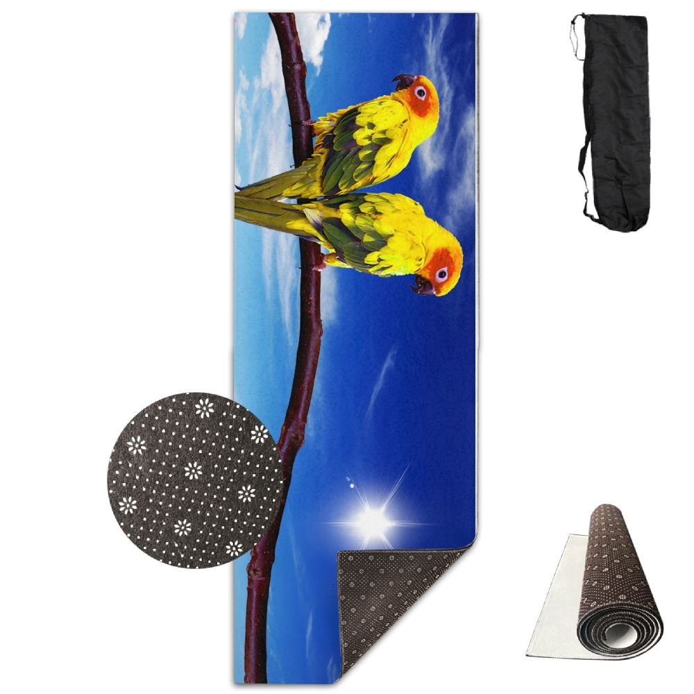 Amazon.com : Parrots Yoga Mat Towel For Bikram/Hot Yoga, Yoga And Pilates, Paddle Board Yoga, Sports, Exercise, Fitness Towel : Sports & Outdoors