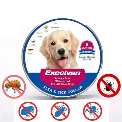 Sakuram Collier Antipuces Pour Chien 8 Mois De Protection