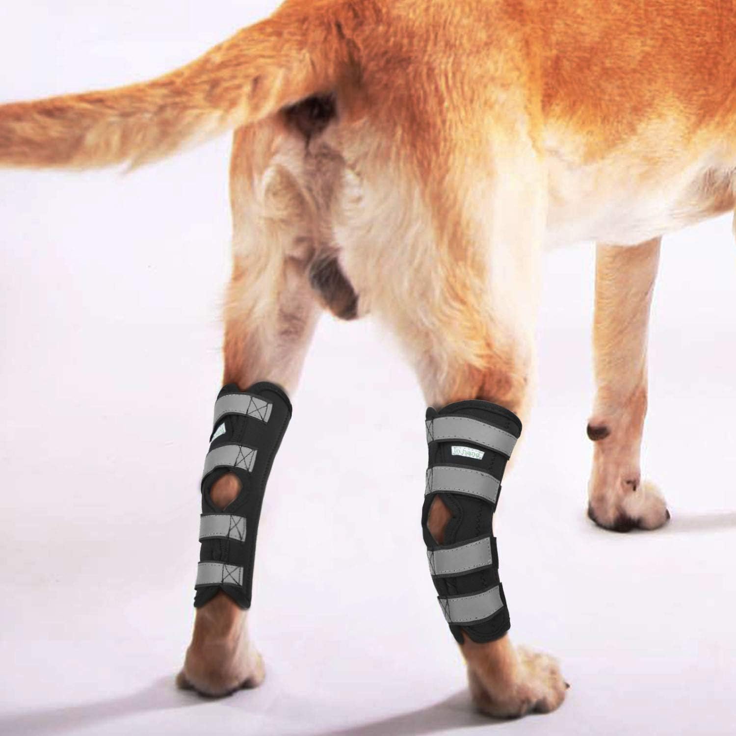 in hand dog leg brace