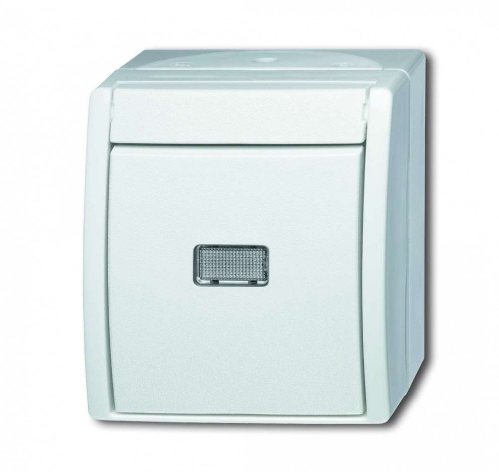 Busch-Jaeger BUSC Button 2621 W-54-206