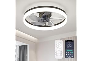 FTZVRD Ceiling Fans with Lights and Remote, 20 Inch Flush Mount Low Profile Ceiling Fan, Reversible DC Motor, 6 Speeds, Dimmable LED Fan for Bedroom, Kitchen, Dining Room, Kids Room, Office