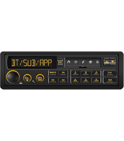 Amazon.com: Blaupunkt Frankfurt RCM 82 DAB Legacy Car Stereo with