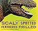 Scaly Spotted Feathered Frilled: How do we know what dinosaurs really looked like?