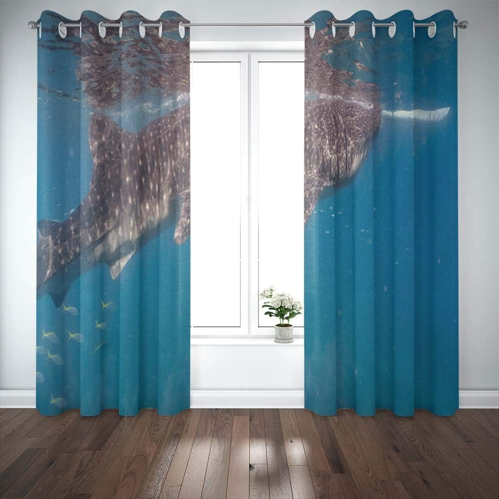 Capsceoll 52X 63 Inch 2 Panels Whale Shark Watching in Closeup Cebu Fed Krill Window Curtain Panels for Home Kitchen Bedroom,Girls and Boys Curtains