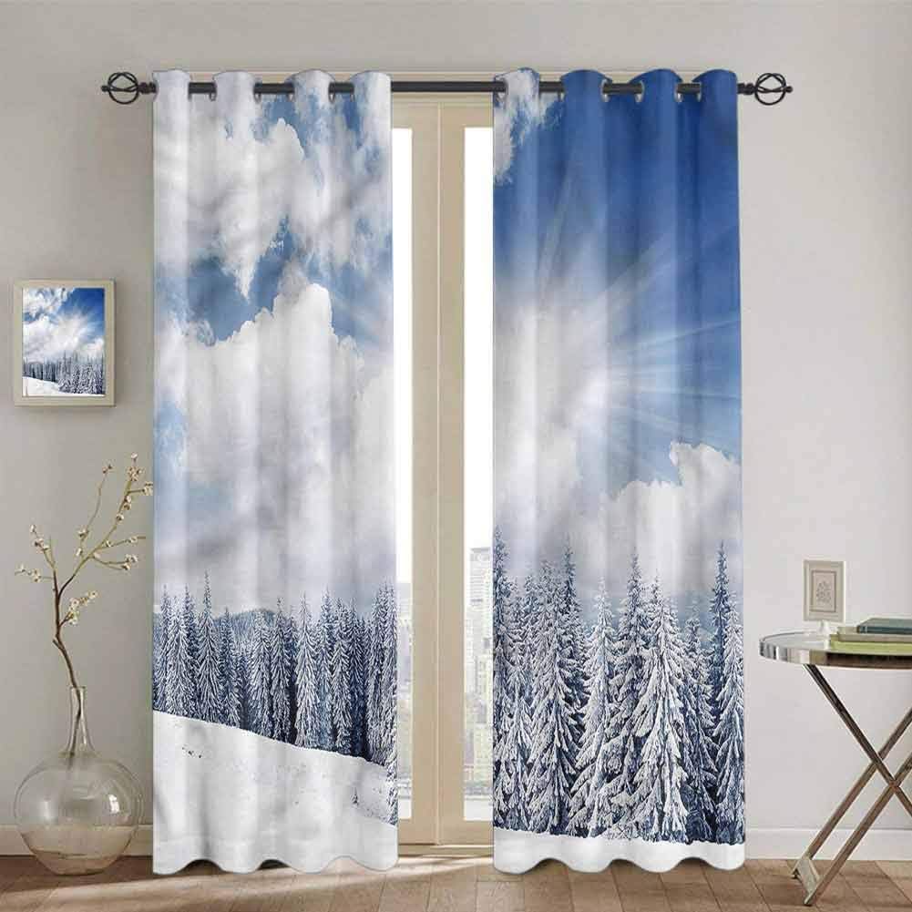 SONGDAYONE Winter Shading Insulated Curtain, Dramatic Sky