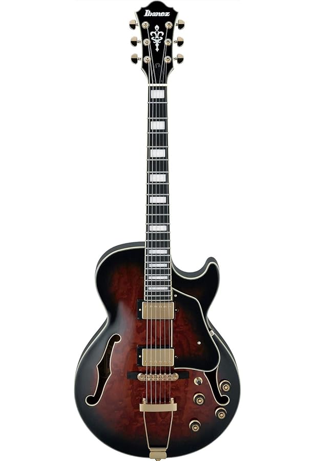 Amazon.com: Ibanez Artcore AF75 Hollowbody Electric Guitar