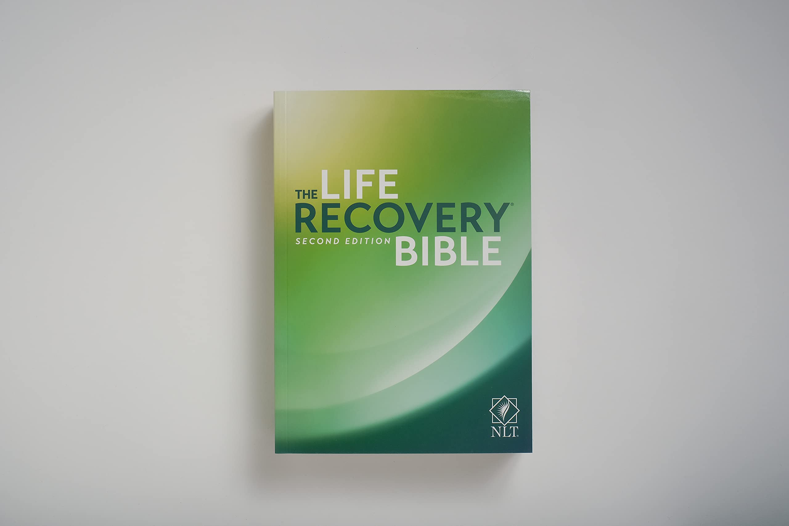 NLT Life Recovery Bible, Second Edition (Softcover): Addiction Bible Tied to 12 Steps of Recovery for Help with Drugs, Alcohol, Personal Struggles – With Meeting Guide NLT Life Recovery Bible, Second Edition (Softcover): Addiction Bible Tied to 12 Steps of Recovery for Help with Drugs, Alcohol, Personal Struggles – With Meeting Guide Paperback Spiral-bound