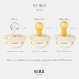 BIBS De Lux Dummy 0+ Months 2-Pack Round Teat Coral Ruby Brand Bibs view 2