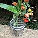 THINKCHANCES Shiny Metal Frog Lid Insert Grid Organizer for Flower, Toothbrush, Pencils, Kitchenware, Crafts Arrangement Hold in Mason, Ball, Canning Jars (6 Pack, Wide Mouth)