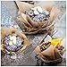 Hotop Tulip Baking Cups Cupcake Muffin Liner for Weddings, Birthdays, Baby Showers, Brown and Natural, 100 Count