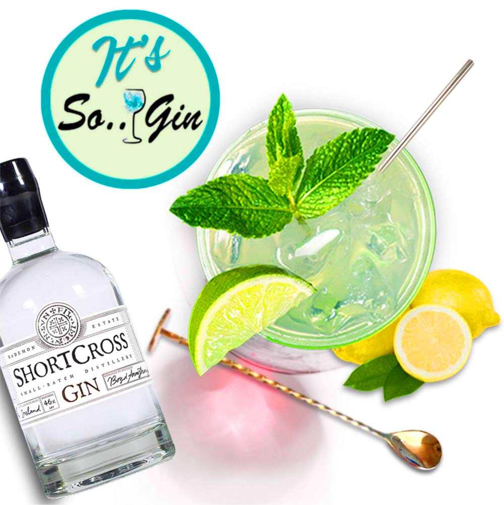 Gin Glasses Set of 2 Cocktail Making Gift Box Set Kit Includes
