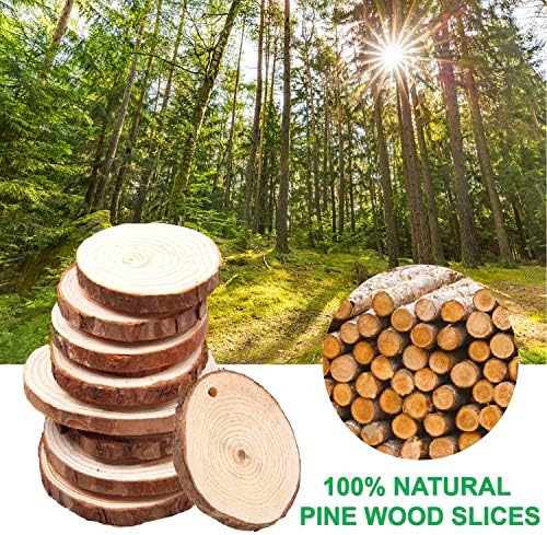 Natural Wood Slices with Hole 30pcs 2.4"-2.8" inch Unfinished Predrilled Holes Wooden Circles with Bark, DIY Craft Wood Kit with 33ft Jute Twine for Christmas Ornaments