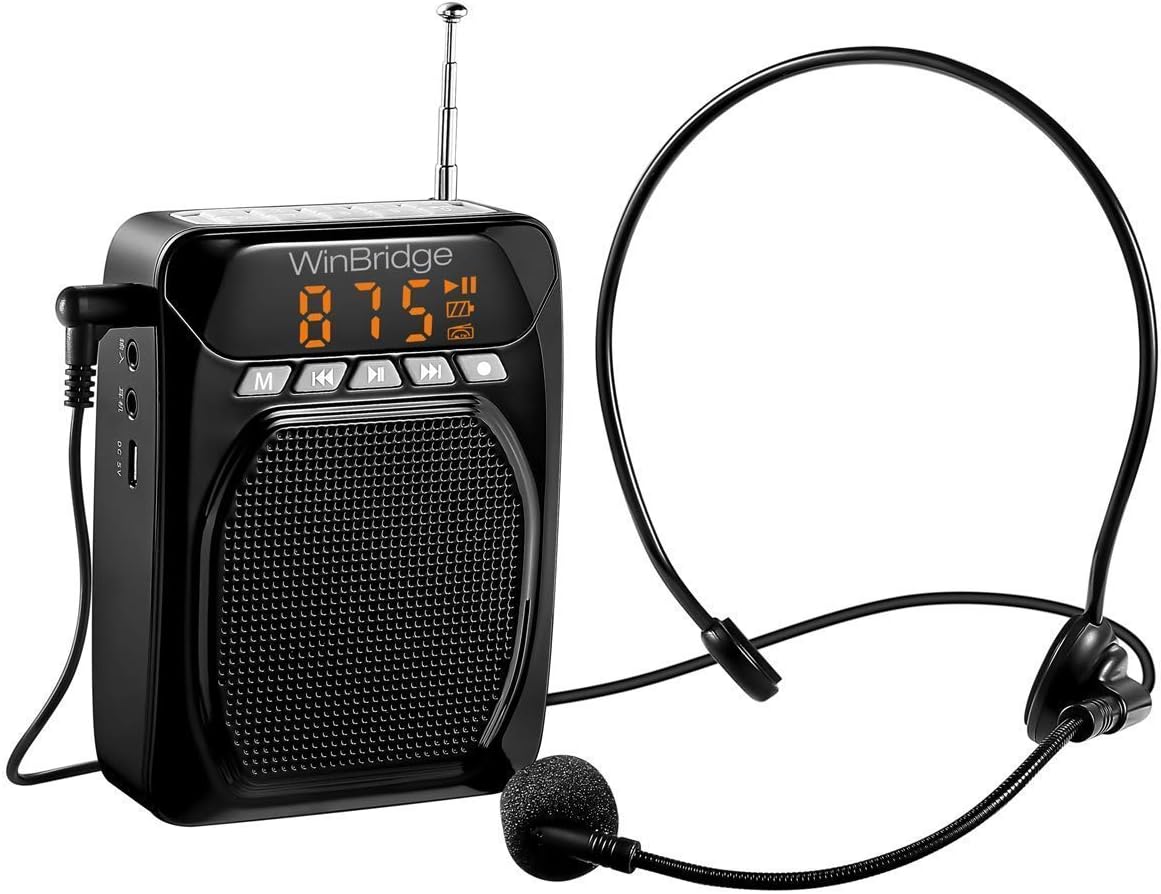 winbridge voice amplifier