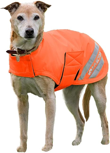 Shires dog coat Clearance