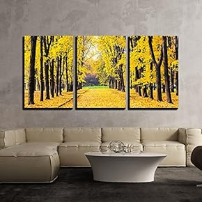 3 Piece Canvas Wall Art - Alley in The Bright Autumn Park - Modern Home Art Stretched and Framed Ready to Hang - 16"x24"x3 Panels