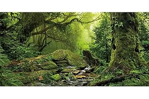 AWERT Tropical Forest Terrarium Background Stream Green Huge Tree Reptile Habitat Background Foggy Rainforest Aquarium Background 48x20 inches Durable Polyester Background