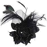 JKQBUX Multi-function Feather Flower Brooch Pins & Hair Clips for Women Girls Corsage Brooch Party Ceremony Accessories Dance Banquet Pins Headdress