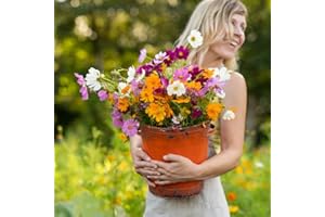 Eden Brothers Crazy for Cosmos Flower Mixed Seeds for Planting, 1/4 lb, 120,000+ Seeds with Cosmos Gloria, Pinkie, Purity | Attracts Pollinators, Plant in Spring or Fall, Zones 3, 4, 5, 6, 7, 8, 9, 10