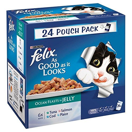 How to buy the best cat food jelly?