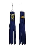 In the Breeze Oregon 18 Inch Windsock - Oregon