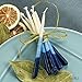 Rite Lite Premium Dripless Blue & White Hanukkah Candles - Tri Color Bulk Pack of 45 - Decorative & Fits Most Menorahs Jewish Holiday Party Favors Accessories Decorations for All 8 Nights of Chanukah