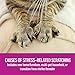 Comfort Zone 2X More Pheromones Formula Calming Diffuser Refills for Cat Calming | Multi Cat and Calming Formulas | 6 Pack Refills