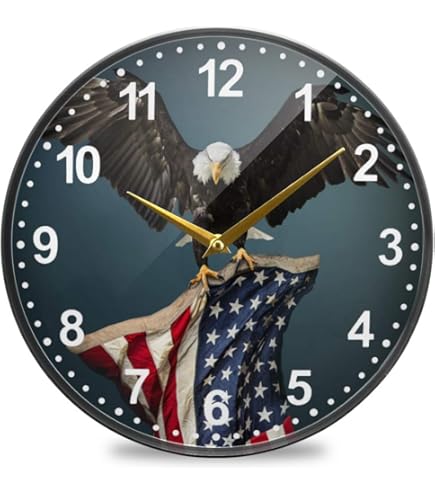 書 American Shelf & Wall Clocks American Shelf and Wall Clocks: A Pictorial History for