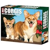 Willow Creek Press, Just Corgis 2027 5.4" x 6.2" Box Calendar