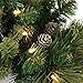 National Tree Company Pre-Lit Artificial Christmas Wreath, Green, Carolina Pine, White Lights, Decorated with Pine Cones, Christmas Collection, 24 Inches