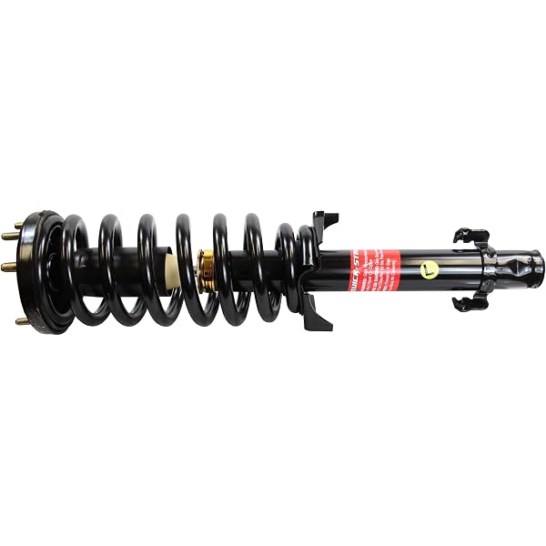 Amazon.com: Monroe Quick-Strut 171691L Suspension Strut and Coil