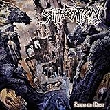 Souls to Deny [Vinyl]