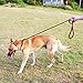 Lynxking No Pull Rope Dog Harness No Pull Reflective Leash Harness Collar 3 in 1 Halter Harnesses Adjustable for Large Giant Dog