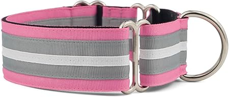 if it barks martingale collar
